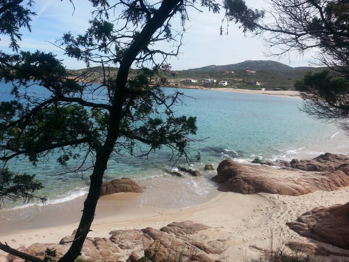 罗萨岛Fronte Mare Attico Indipendente Ed Esclusivo Con Terrazza Panoramica公寓 外观 照片